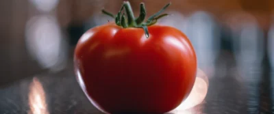 Comment maîtriser la technique Pomodoro pour tripler votre productivité quotidienne